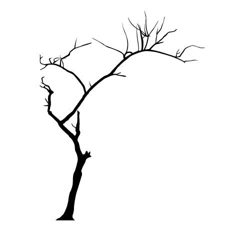 Dead Tree Wall Decal without Leaves